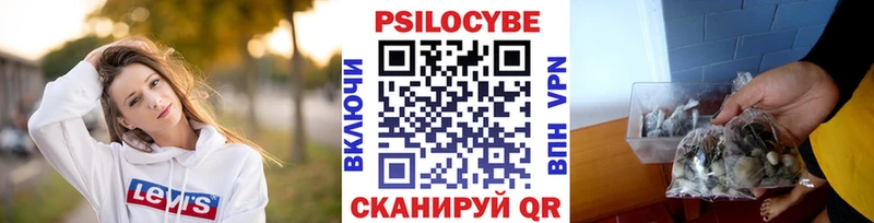 Галлюциногенные грибы Psilocybine cubensis  Улан-Удэ 